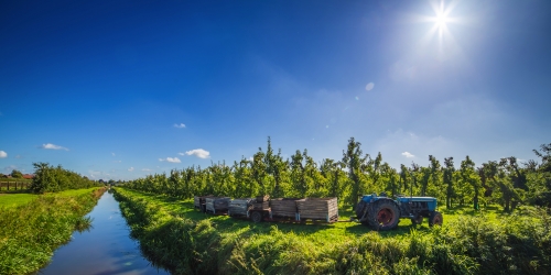 Altes Land südlich der Elbe in Hamburg und in Niedersachsen, Deutschland