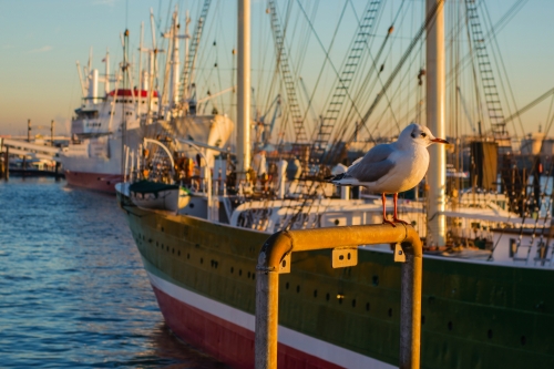 Hamburger Hafen, Deutschland