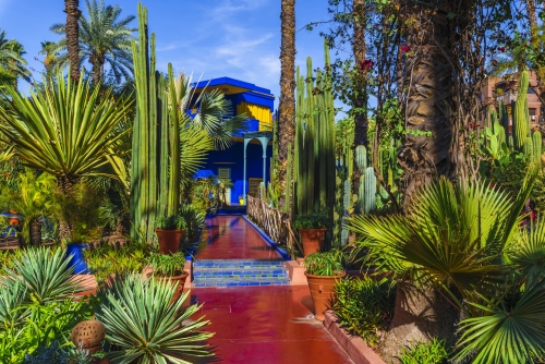 Jardin Majorelle - botanischer Garten in Marrakesch, Marokko