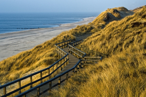 Dünenweg Rotes Kliff bei Wenningstedt auf Sylt im Winter