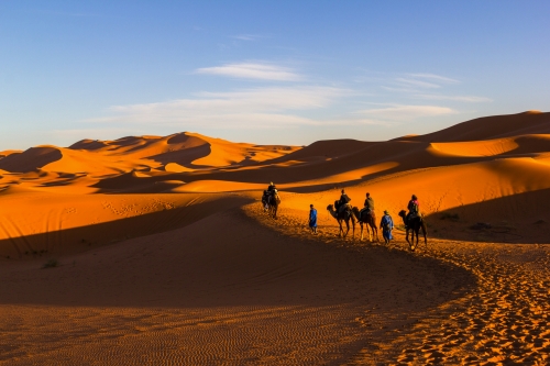 Kamelreiten entlang von Sanddünen zur Sonnenuntergangzeit in der Sahara, Marokko