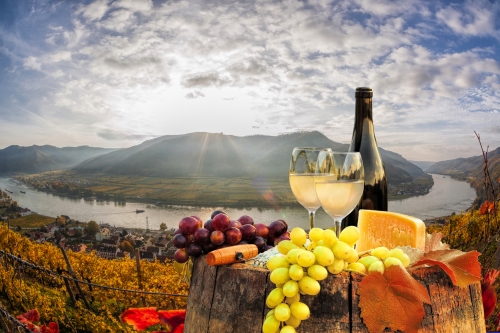 Wachau: das berühmteste Weinbaugebiet Österreichs