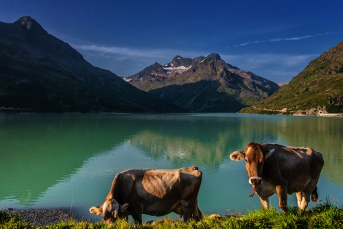 Alpenidylle am Silvretta Stausee in den österreichischen Alpen im Bundesland Vorarlberg