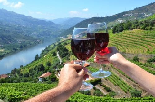 Weinberge im Duoro-Tal, Portugal