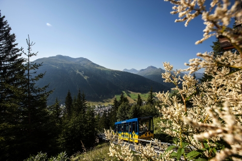 direkt von der Davoser Promenade auf die Schatzalp mit der Schatzalp-Bahn, Schweiz