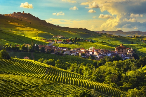 Panorama der Weinberge von Langhe im Piemont, Italien