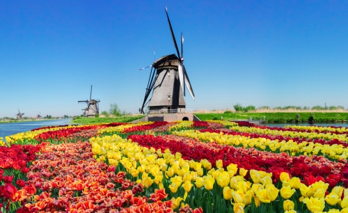 Kinderdijk in Südholland, Niederlande