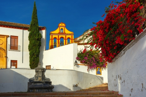 The street of Cordoba in th sunny day, Cordoba, Andalusia, Spain