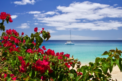 Catamaran sailing at the coast of Fuerteventura