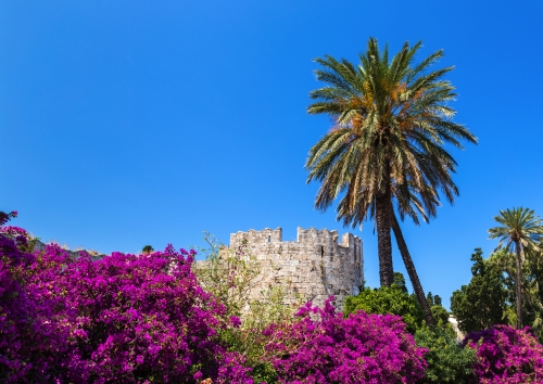 Rhodos Altstadt, Frühlingsblüte