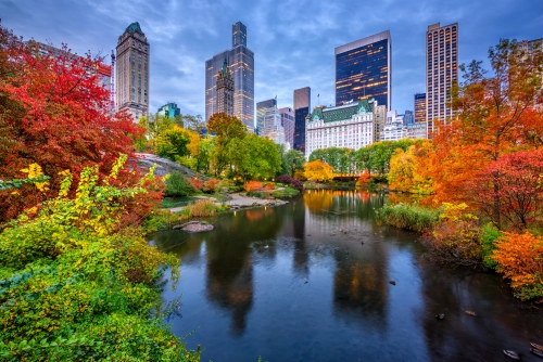 Central Park Autumn in New York City