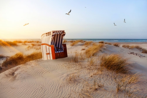 Strandkorb in den Dünen bei Abendlicht