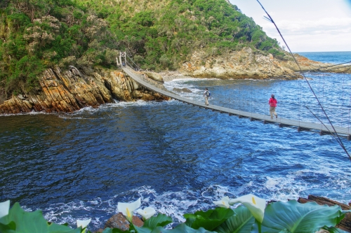 Tsitsikamma national park, Garden route, South Africa