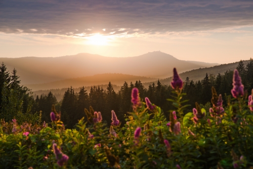 Großer Arber im Bayerischen Wald bei Sonnenuntergang