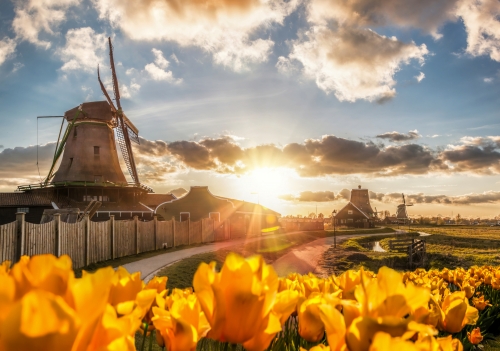 Zaanse Schans in den Niederlanden