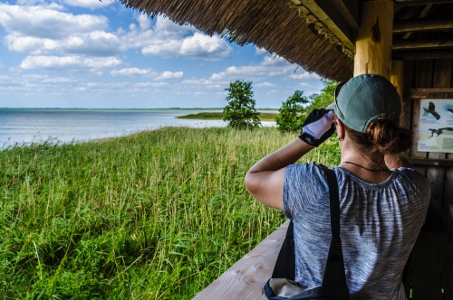 Vogelbeobachtung im Nationalpark Müritz