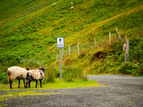 mit dem Rad durch den Connemara-Nationalpark in Irland