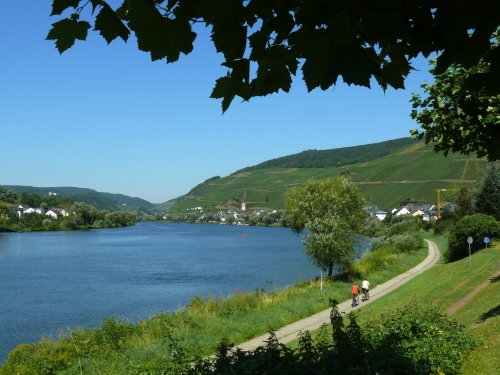 Radweg an der Mosel