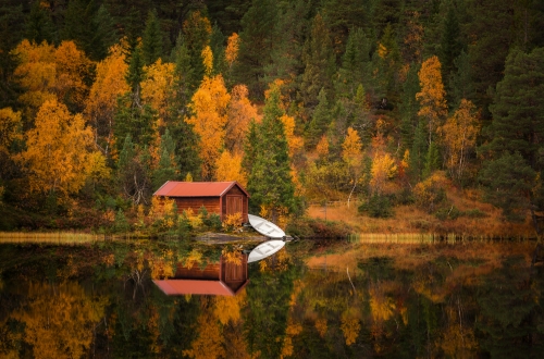 herbstliches Waldgebiet Bymarka nahe Trondheim