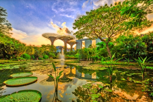 Gardens by the Bay in Singapur