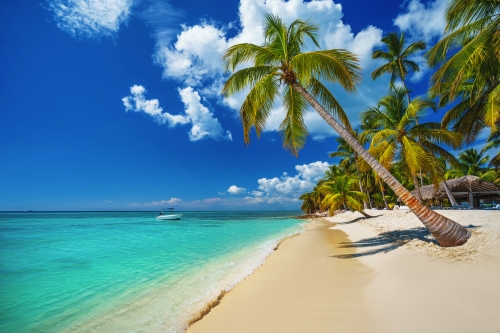 © ValentinValkov - stock.adobe.com Costa del Coco, die Kokosküste nahe Punta Cana