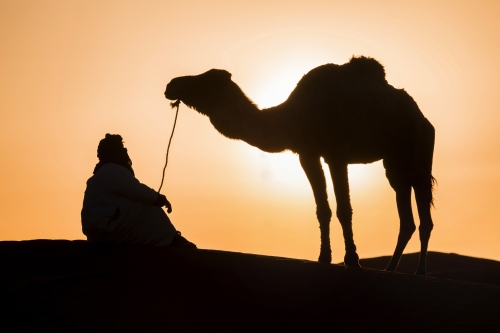 Beduinen und Kamel in der Sahara