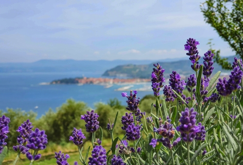 Blick auf Izola in Slowenien an der adriatischen Küste