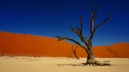 Deadvlei in Namibia