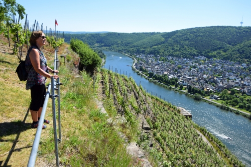 Aussicht bei Koblenz-Lay