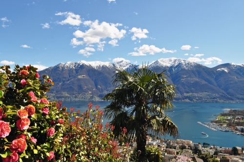 Aussicht von Orselina auf den Lago Maggiore