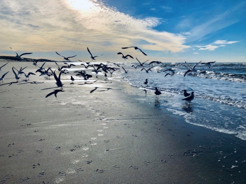 winterliche Nordsee