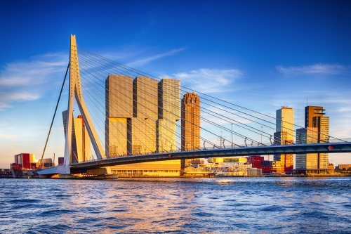 Erasmusbrücke in Rotterdam in den Niederlanden