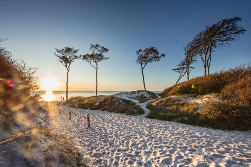 wilde Strände an der Ostsee