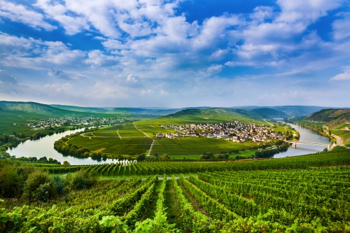 berühmte Moselschleife mit Weinbergen