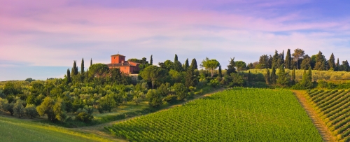 Weingut im Abenrot in der Toskana