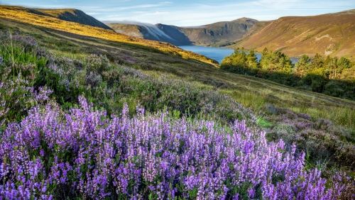 Cairngorms-Nationalpark