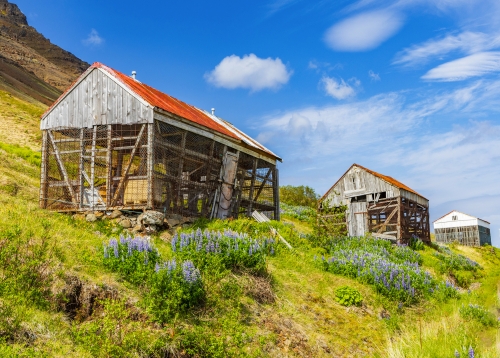 © thomas - stock.adobe.com Fischtrocknungsschuppen in Isafjordur