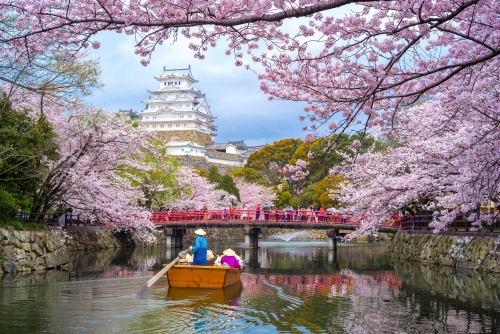Burg Himeji mit Kirschblüten im Frühling µ2