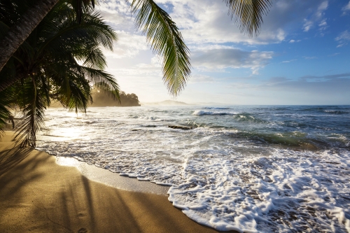 © Galyna Andrushko - stock.adobe.com Küste in Costa Rica