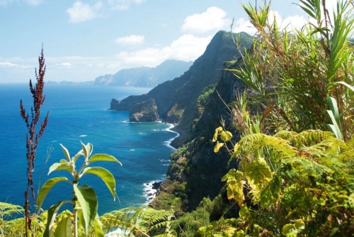 Madeira, north-east coast near Santana