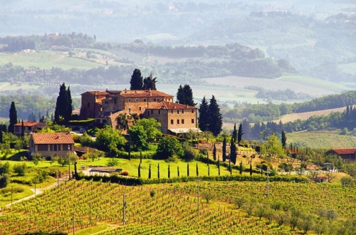 Toskana Weingut - Tuscany vineyard 03