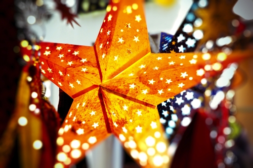 Weihnachtsstern~1