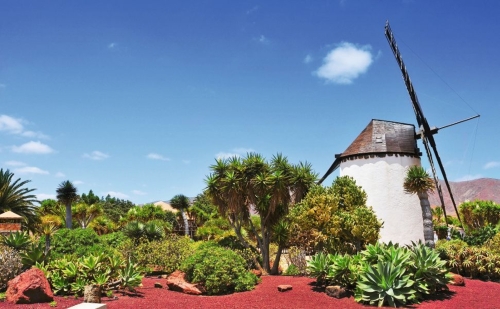 © nito - Fotolia Windmühle in Antigua auf Fuerteventura