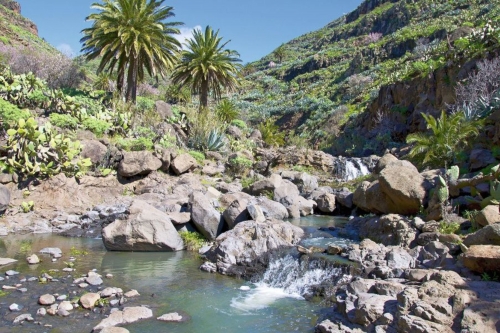 Gebirgsbach auf La Gomera, Kanaren