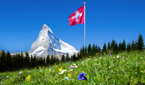 Matterhorn mit Bergwiese~1