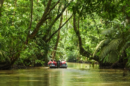 © roca83 - stock.adobe.com Tortuguero Nationalpark auf Costa Rica