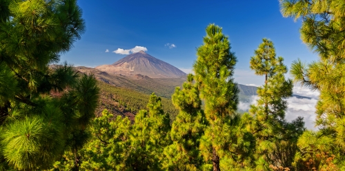 Vulkan Teide ? Blick vom Mirador La Crucita 