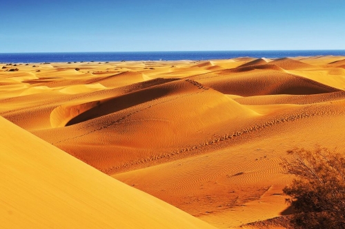 Natural Reserve of Dunes of Maspalomas, in Gran Canaria, Spain