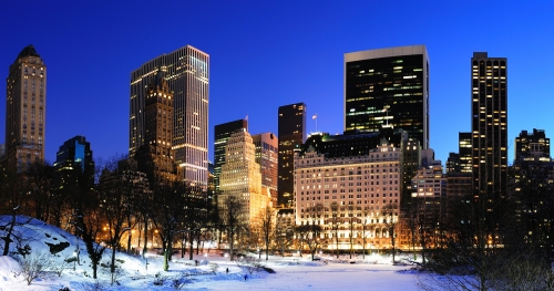 freepik_new-york-city-manhattan-central-park-panorama-winter