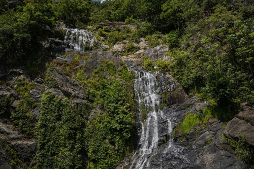 cairns_regenwald_australien